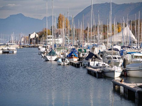 Forêt de mâts du Port des Mouettes