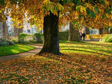 Lumière d'automne sur la promenade