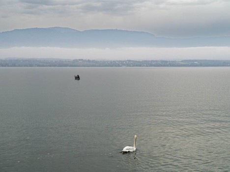Le Jura sur l'autre rive du Lac Léman