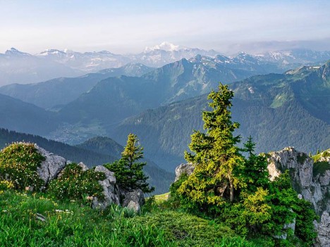 Le Mont Blanc et les Dents Blanches