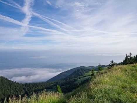 Brumes sur le Lac Léman