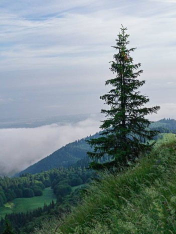 Au Mont Forchat, le Lac Léman
