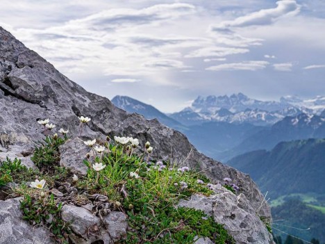 Dents du Midi depuis le Mont Ouzon