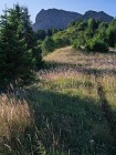 Montagne de Pertuis, Mont de Grange
