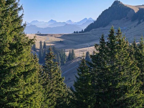 Le synclinal perché des Mémises