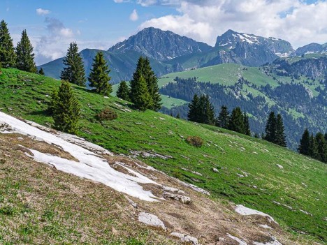 Dent et Château d'Oche