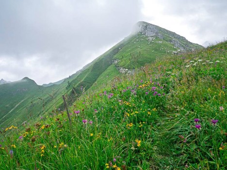 La Pointe de Bénevent