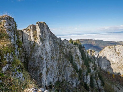 La Grande Pointe des Journées
