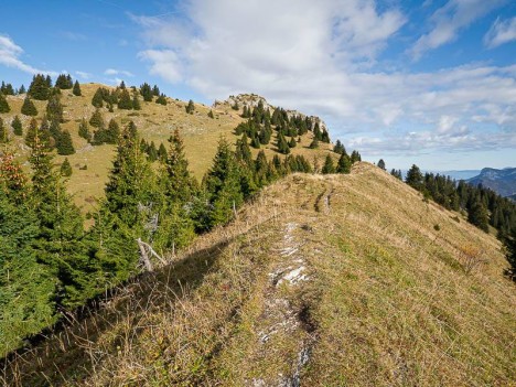 La Grande Pointe des Journées
