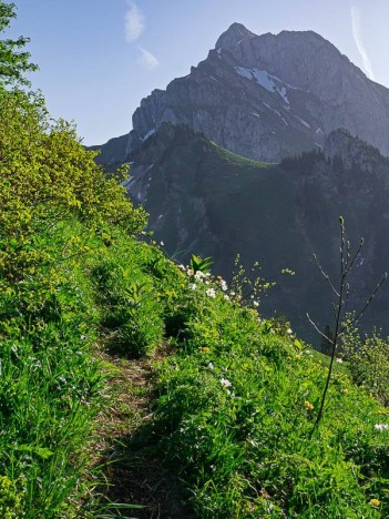 Sur le sentier de la Pointe de Lachau, face aux Cornettes de Bise