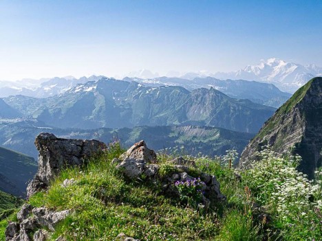 Les Hauts-Forts, le Mont Blanc et l'Aiguille Verte