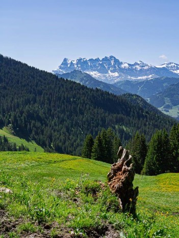 Les Dents du Midi depuis l'alvage de Sevan Derrière