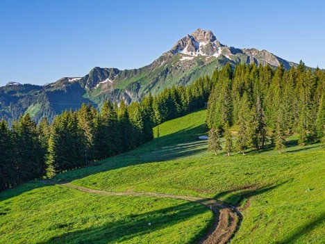 Le Mont de Grange, depuis le chalet Sevan Derrière