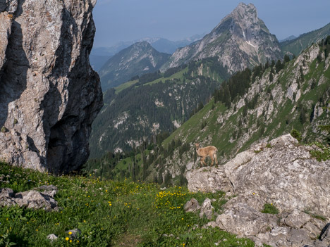 Une jeune étagne au Col de Sevan