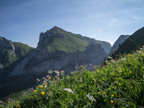 Le Château d'Oche