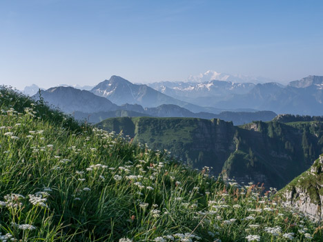 Mont de Grange, le Mont Blanc au loin