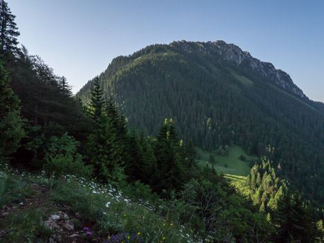 Au-dessus du Col de Nicodex, le Mont Ouzon