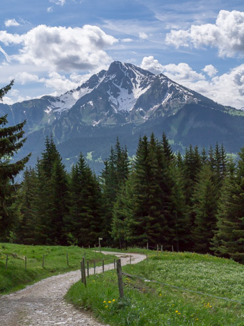 Le Mont de Grange