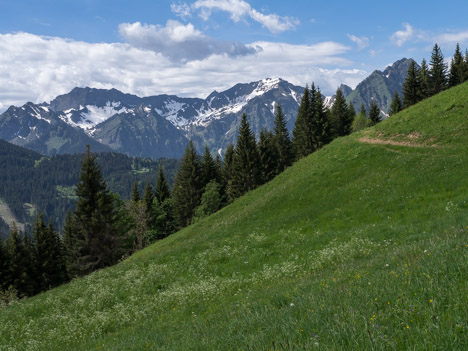 Le Roc de Tavaneuse (au centre)