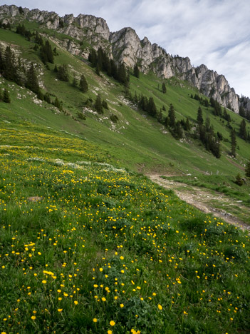 Versant SW du Mont Ouzon
