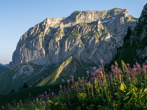 Au Col du Serpentin, les Cornettes de Bise