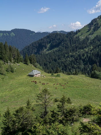 Le refuge de Chavan