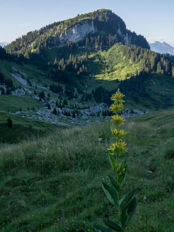 Le Col de Cordon et la Pointe de Rovagne