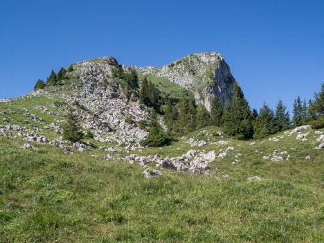 Le versant Sud de la Haute Pointe