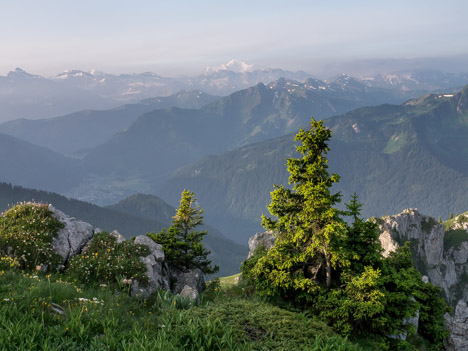 Le Mont Blanc et les Dents Blanches