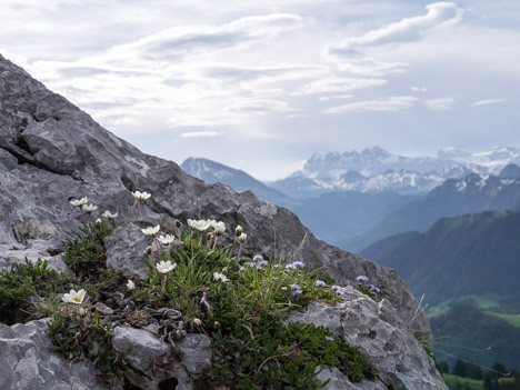 Dents du Midi depuis le Mont Ouzon