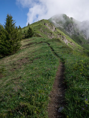 Sentier du Pic de la Corne