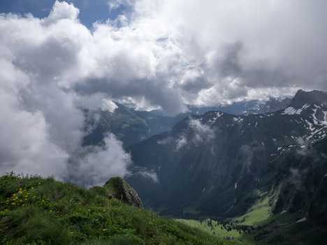 Vallon du ruisseau de Tavaneuse, Prétairié