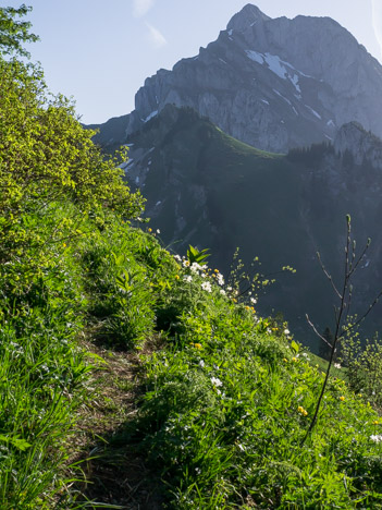 Sur le sentier de la Pointe de Lachau, face aux Cornettes de Bise