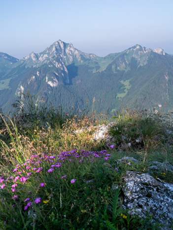 Le Mont Billiat, la Pointe dela Grande Journée