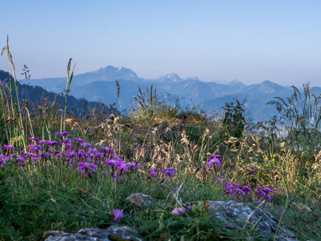 Le Roc d'Enfer, les pointes de Chavasse et de Chalune