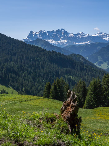 Les Dents du Midi depuis l'alvage de Sevan-derrière