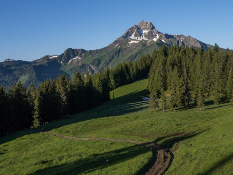 Le Mont de Granges, depuis le chalet Sevan-derrière