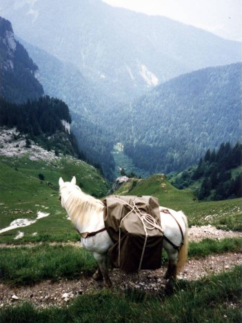 Sur le sentier du Col de Bellefont