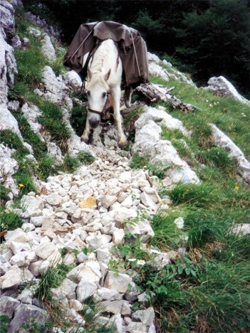 Gitane dans la pierraille du rude sentier au dessus du ravin de Chorolant