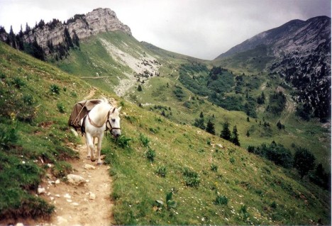 Traversée du Col de la Sure