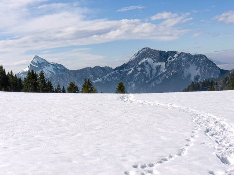 Chamechaude et le Charmant Som