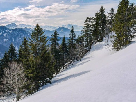 Vue sur le Sud de la Chartreuse