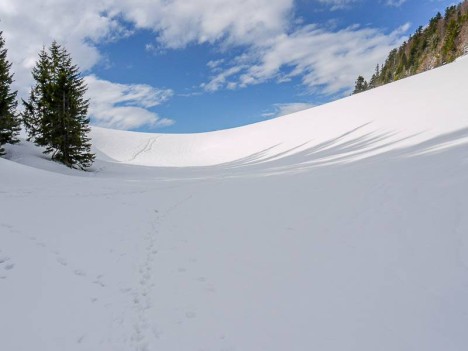 Le Col de l'Aliénard