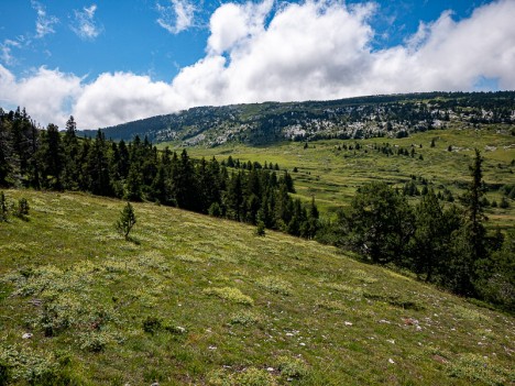 L'Alpe et la crête du Pinet et des Rochers du Fouda Blanc, août 2021