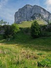 Mont Granier, la Tête de Lion