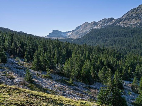 Col de Bellefont au fond du Vallon de Marcieu, Aulp du Seuil