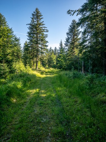 Chemin de la variante du retour aux Riondettes, juil. 2022