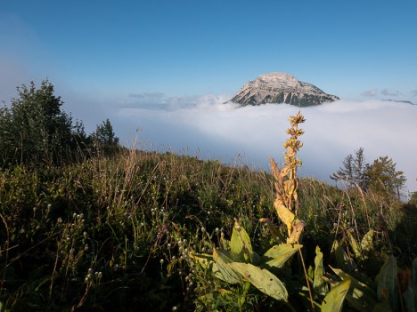 Chamechaude émerge des nuages, août 2021