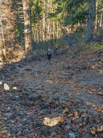 Plaisir de la Chartreuse
