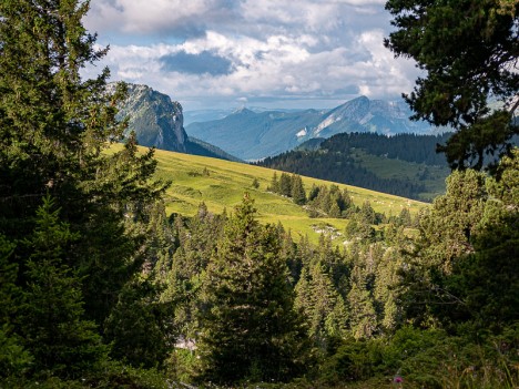 La Crête de la Forêt Fendue et le Charmant Som, août 2021